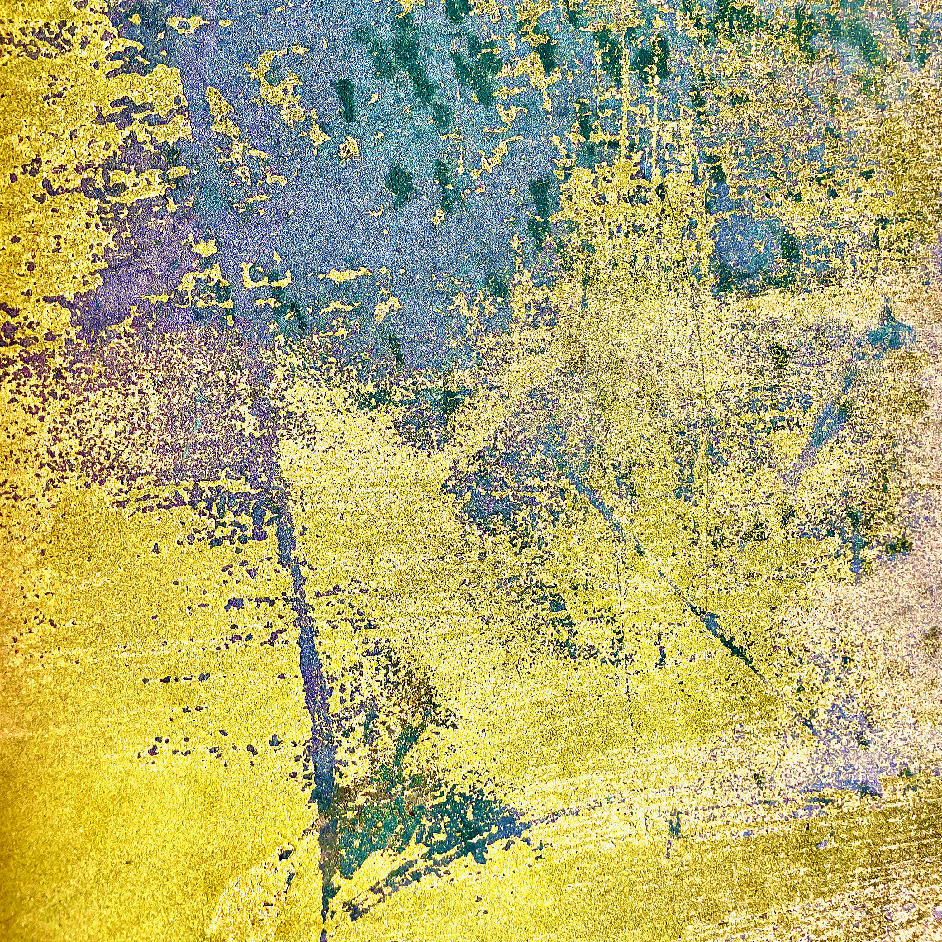 Délicatesse, Sensitivity (100X100)